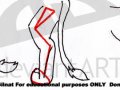 Final_tutorial__lions_paws_by_Silnat.jpg